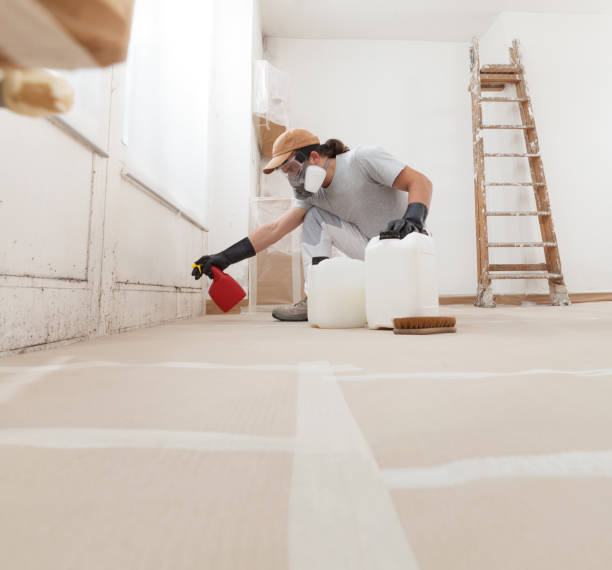 Best Mold Remediation for Healthcare Facilities  in Fayette, MO